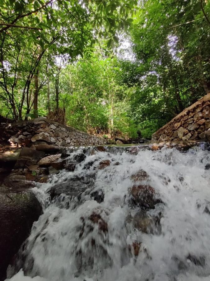 Forest&River Edge Resort Kannur Exterior foto