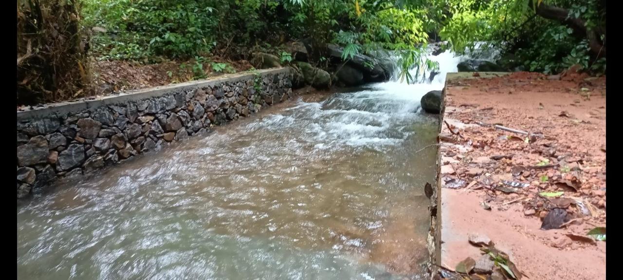 Forest&River Edge Resort Kannur Exterior foto