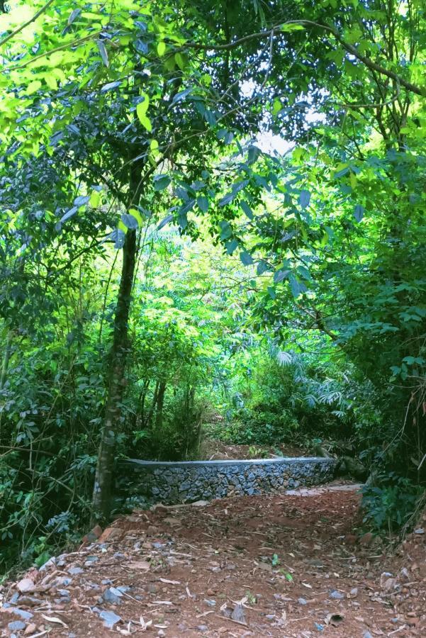 Forest&River Edge Resort Kannur Exterior foto